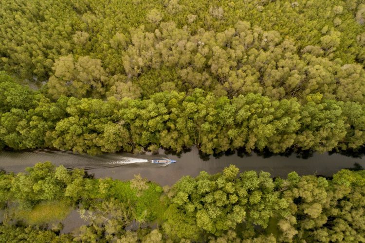 湄公河三角洲“无尽稻田”的绝美之游
