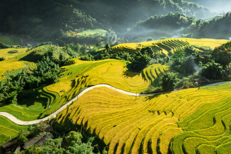 CHECK OUT THESE SAPA HOT SPOTS FOR YOUR NEXT ITINERARY! 