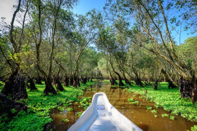 Top 4 best tourist destinations in the Mekong Delta